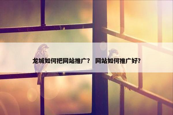 龙城如何把网站推广？ 网站如何推广好？
