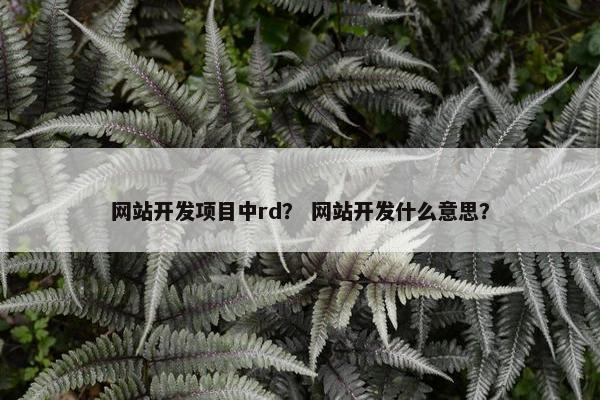 网站开发项目中rd？ 网站开发什么意思？