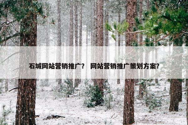 石城网站营销推广？ 网站营销推广策划方案？