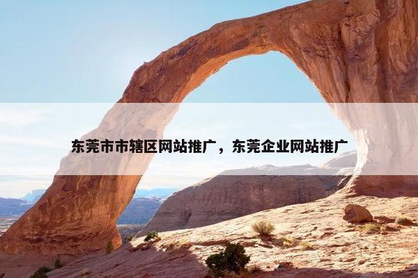 东莞市市辖区网站推广，东莞企业网站推广