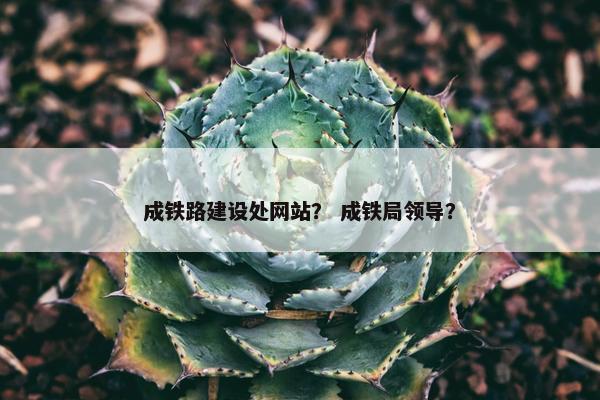 成铁路建设处网站？ 成铁局领导？
