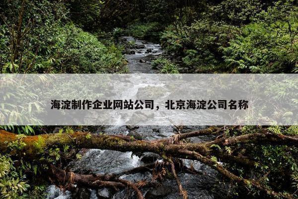 海淀制作企业网站公司，北京海淀公司名称
