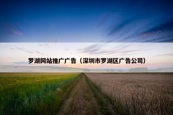 罗湖网站推广广告（深圳市罗湖区广告公司）