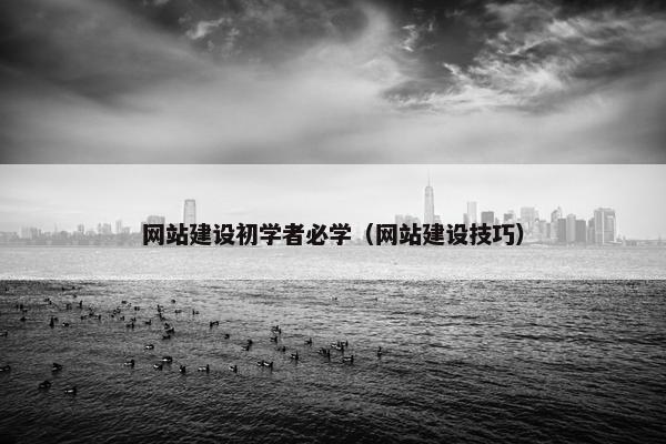 网站建设初学者必学（网站建设技巧）