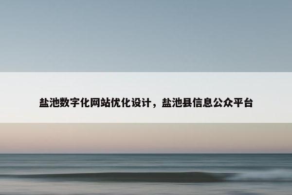 盐池数字化网站优化设计，盐池县信息公众平台