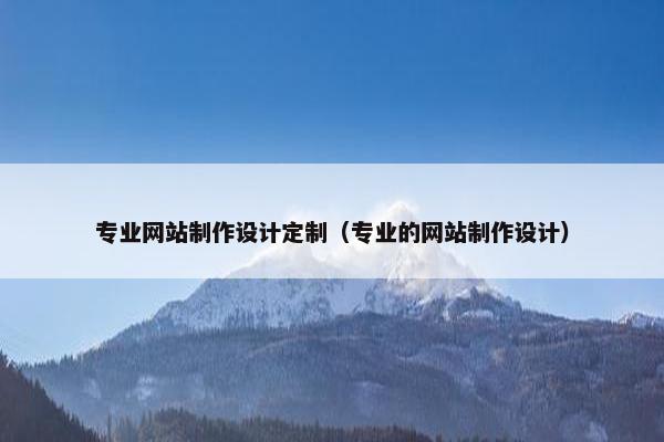 专业网站制作设计定制（专业的网站制作设计）