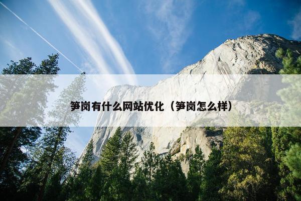 笋岗有什么网站优化（笋岗怎么样）