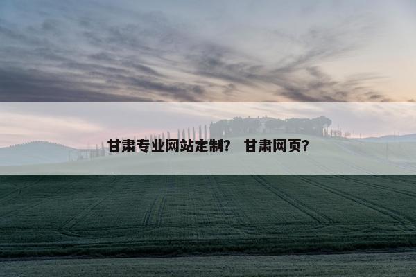 甘肃专业网站定制？ 甘肃网页？
