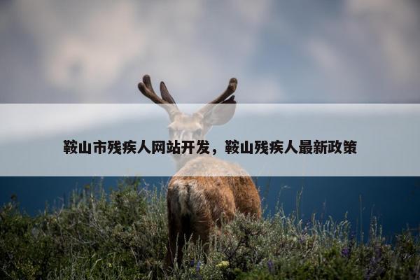鞍山市残疾人网站开发，鞍山残疾人最新政策