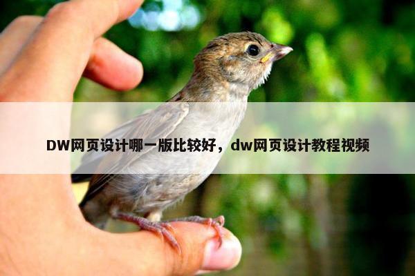 DW网页设计哪一版比较好，dw网页设计教程视频