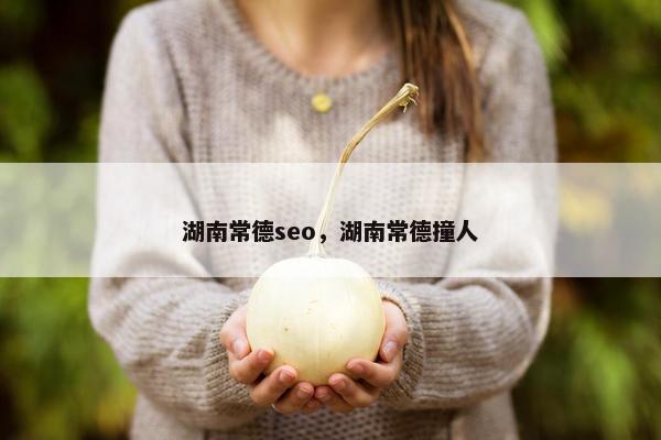 湖南常德seo，湖南常德撞人