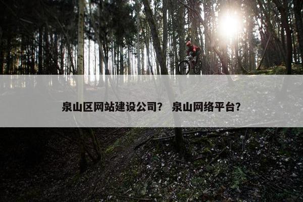 泉山区网站建设公司？ 泉山网络平台？