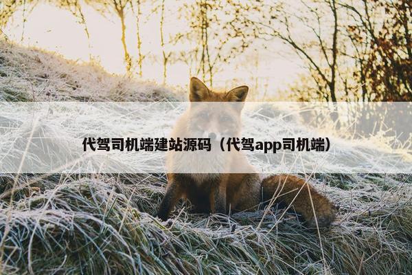 代驾司机端建站源码（代驾app司机端）