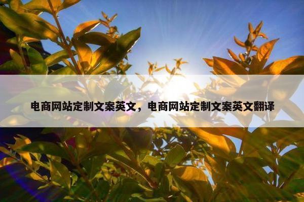 电商网站定制文案英文，电商网站定制文案英文翻译