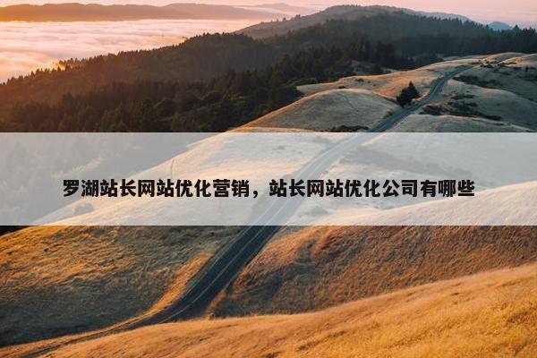 罗湖站长网站优化营销，站长网站优化公司有哪些