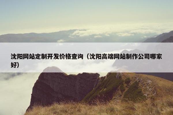 沈阳网站定制开发价格查询（沈阳高端网站制作公司哪家好）