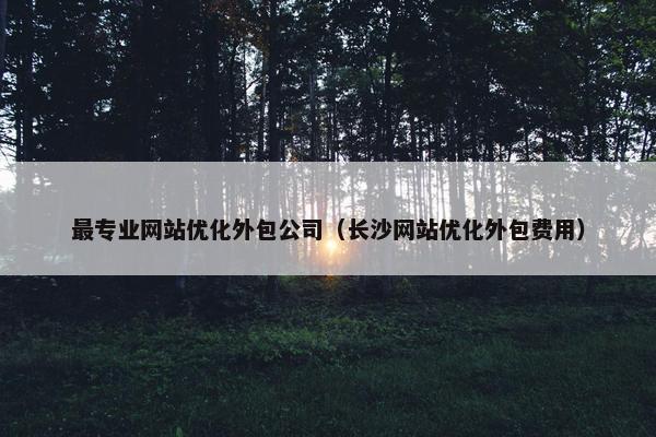 最专业网站优化外包公司（长沙网站优化外包费用）