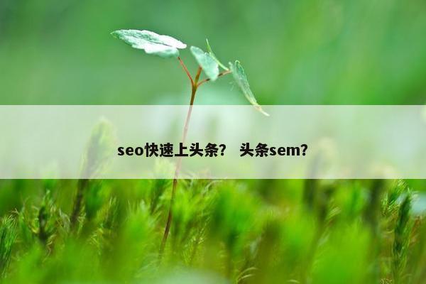 seo快速上头条？ 头条sem？