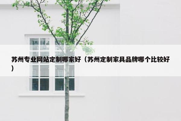 苏州专业网站定制哪家好（苏州定制家具品牌哪个比较好）