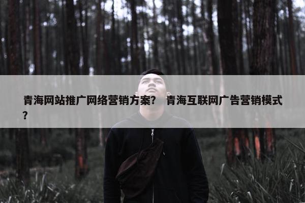 青海网站推广网络营销方案？ 青海互联网广告营销模式？