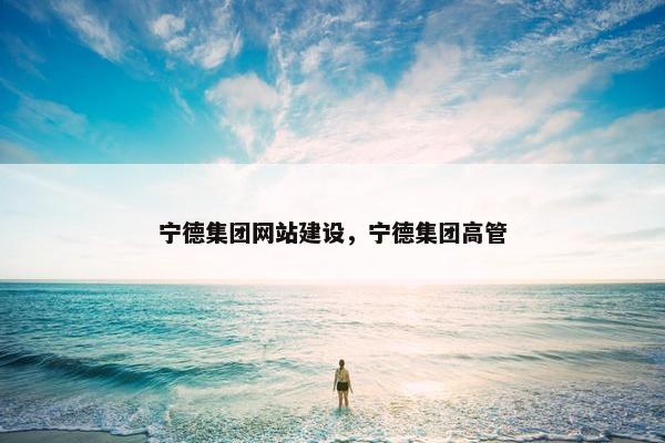 宁德集团网站建设，宁德集团高管