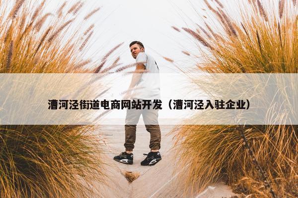 漕河泾街道电商网站开发（漕河泾入驻企业）