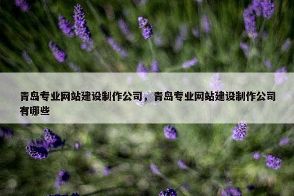 青岛专业网站建设制作公司，青岛专业网站建设制作公司有哪些