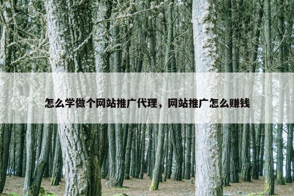 怎么学做个网站推广代理，网站推广怎么赚钱