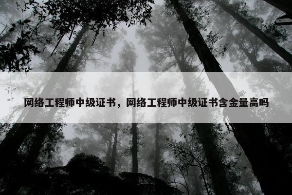 网络工程师中级证书，网络工程师中级证书含金量高吗