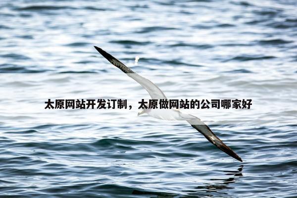 太原网站开发订制，太原做网站的公司哪家好