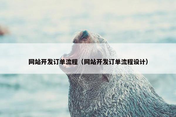 网站开发订单流程（网站开发订单流程设计）