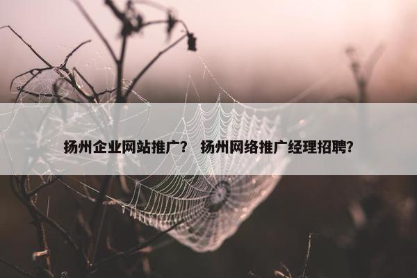 扬州企业网站推广？ 扬州网络推广经理招聘？