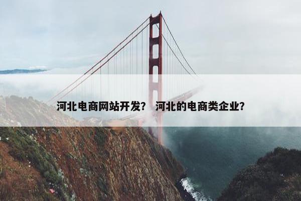 河北电商网站开发？ 河北的电商类企业？