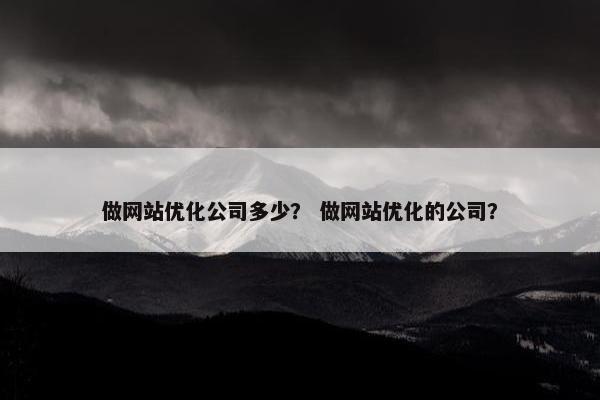 做网站优化公司多少？ 做网站优化的公司？