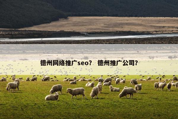 德州网络推广seo？ 德州推广公司？