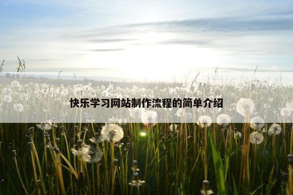 快乐学习网站制作流程的简单介绍