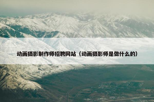 动画摄影制作师招聘网站（动画摄影师是做什么的）