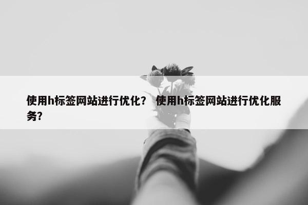 使用h标签网站进行优化？ 使用h标签网站进行优化服务？