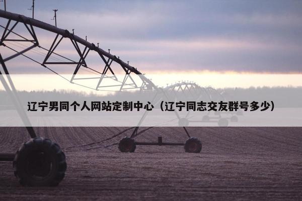 辽宁男同个人网站定制中心（辽宁同志交友群号多少）
