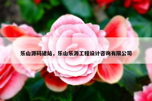 乐山源码建站，乐山乐源工程设计咨询有限公司