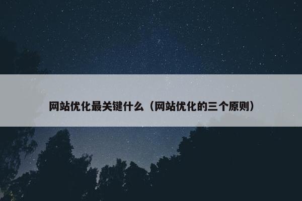 网站优化最关键什么（网站优化的三个原则）