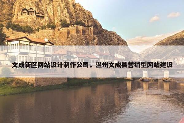 文成新区网站设计制作公司，温州文成县营销型网站建设