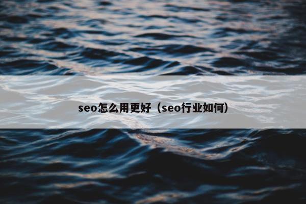 seo怎么用更好（seo行业如何）