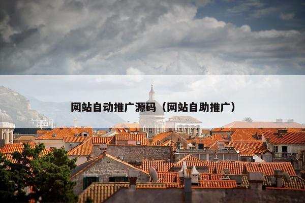 网站自动推广源码（网站自助推广）