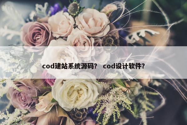 cod建站系统源码？ cod设计软件？