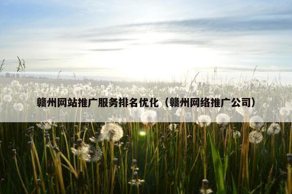 赣州网站推广服务排名优化（赣州网络推广公司）