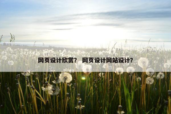 网页设计欣赏？ 网页设计网站设计？