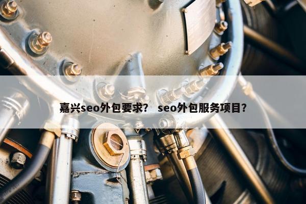 嘉兴seo外包要求？ seo外包服务项目？
