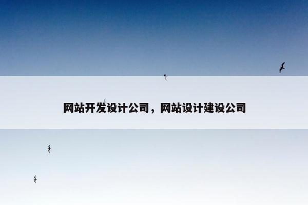 网站开发设计公司，网站设计建设公司