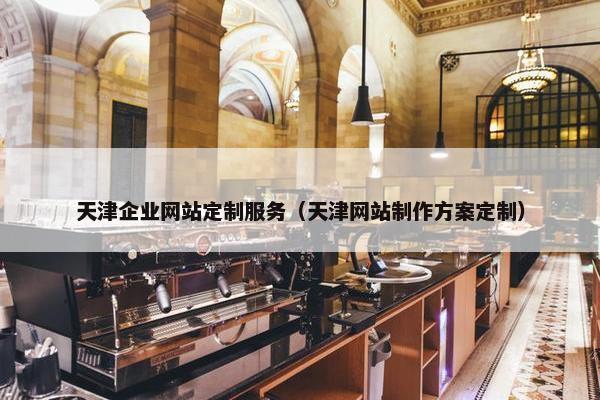 天津企业网站定制服务（天津网站制作方案定制）